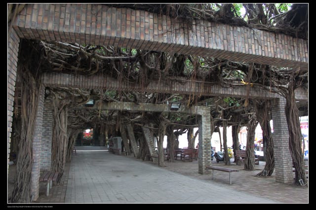 《遊記—澎湖》菊島行DAY-2【白沙&西嶼】