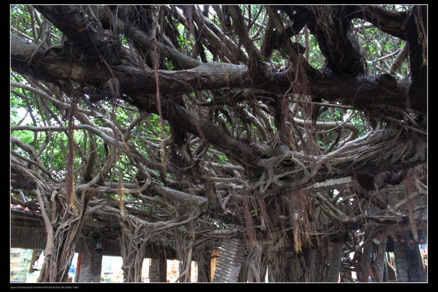 《遊記—澎湖》菊島行DAY-2【白沙&西嶼】