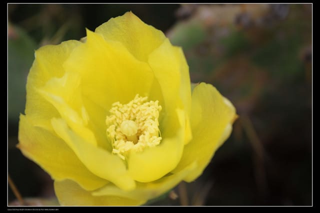 《遊記—澎湖》菊島行DAY-2【白沙&西嶼】