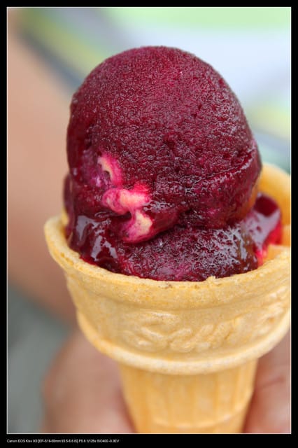 《遊記—澎湖》菊島行DAY-2【白沙&西嶼】