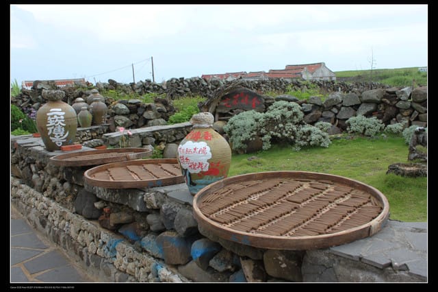 《遊記—澎湖》菊島行DAY-2【玄武岩群&二坎聚落】