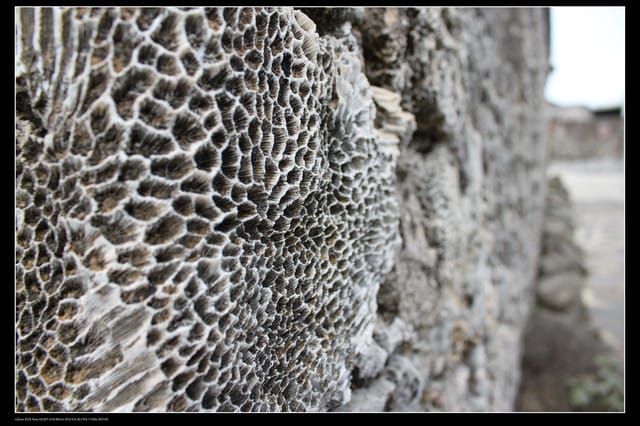 《遊記—澎湖》菊島行DAY-2【玄武岩群&二坎聚落】