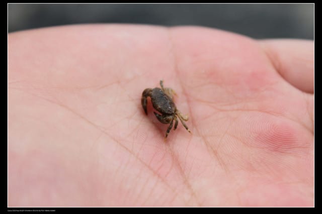 《遊記—澎湖》菊島行DAY-2【奎璧山休憩區】