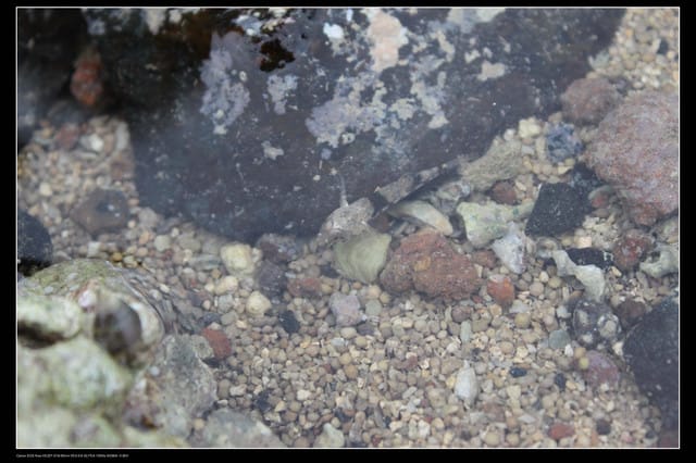 《遊記—澎湖》菊島行DAY-2【奎璧山休憩區】