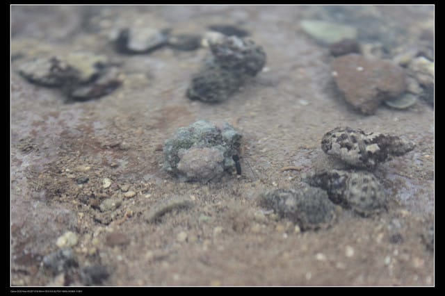 《遊記—澎湖》菊島行DAY-2【奎璧山休憩區】