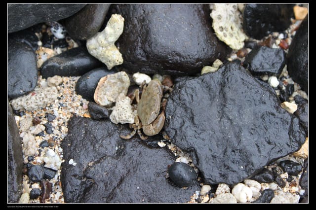 《遊記—澎湖》菊島行DAY-2【奎璧山休憩區】