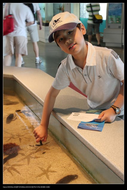 《遊記—澎湖》菊島行DAY-2【澎湖水族館】