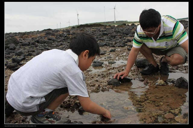 《遊記—澎湖》菊島行DAY-2【奎璧山休憩區】