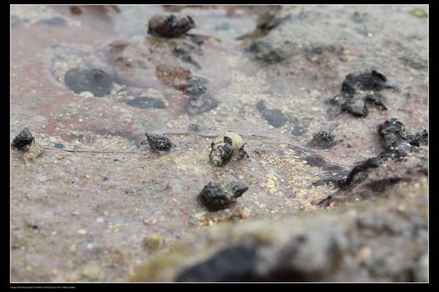 《遊記—澎湖》菊島行DAY-2【奎璧山休憩區】