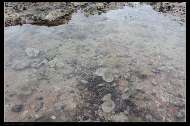《遊記—澎湖》菊島行DAY-2【奎璧山休憩區】
