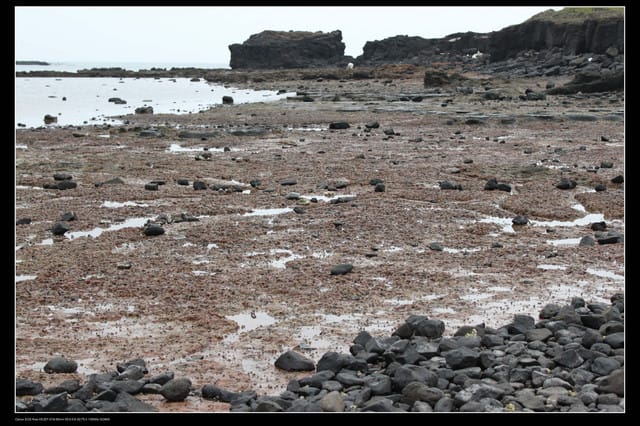 《遊記—澎湖》菊島行DAY-2【奎璧山休憩區】