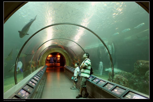 《遊記—澎湖》菊島行DAY-2【澎湖水族館】