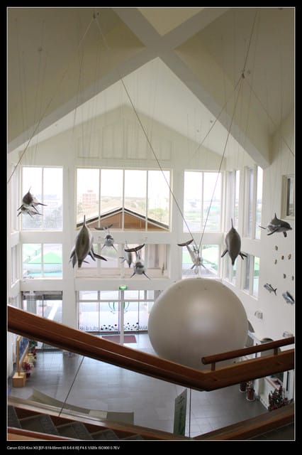 《遊記—澎湖》菊島行DAY-2【澎湖水族館】