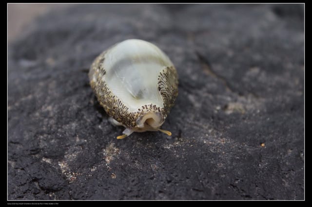 《遊記—澎湖》菊島行DAY-2【奎璧山休憩區】