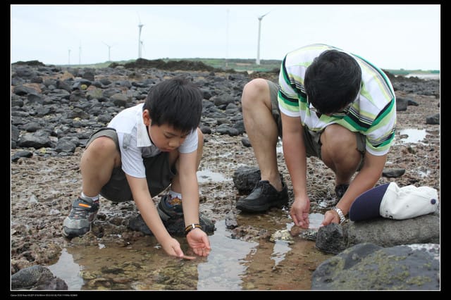 《遊記—澎湖》菊島行DAY-2【奎璧山休憩區】