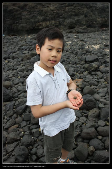 《遊記—澎湖》菊島行DAY-2【澎湖水族館】