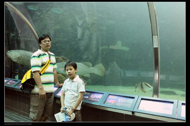 《遊記—澎湖》菊島行DAY-2【澎湖水族館】