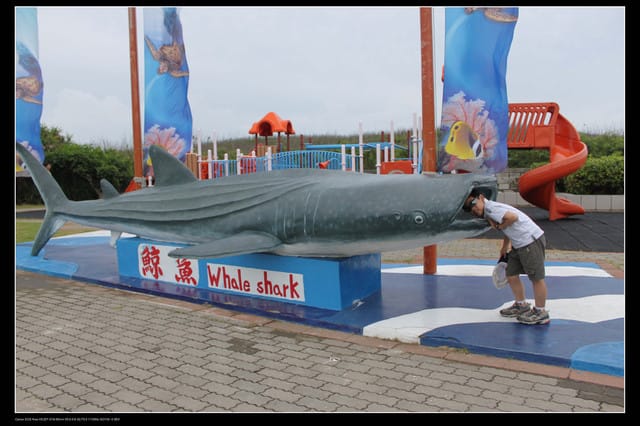 《遊記—澎湖》菊島行DAY-2【澎湖水族館】