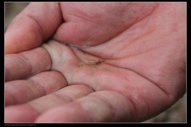 《遊記—澎湖》菊島行DAY-2【奎璧山休憩區】