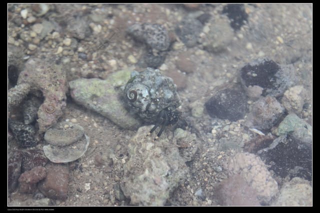 《遊記—澎湖》菊島行DAY-2【奎璧山休憩區】