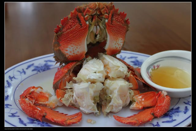 《遊記—澎湖》菊島行DAY-2【清香活海鮮】