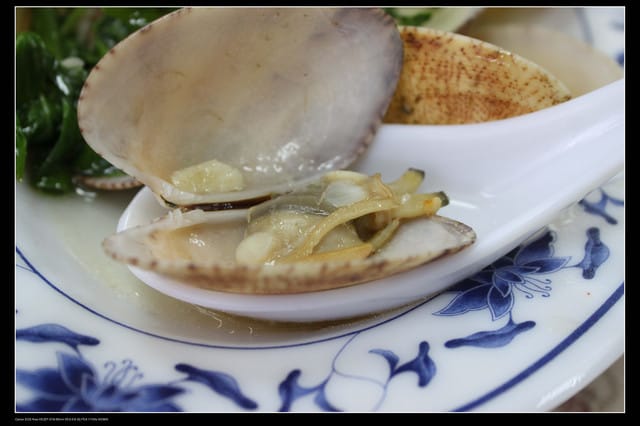 《遊記—澎湖》菊島行DAY-2【清香活海鮮】