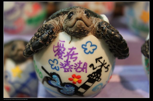 《遊記—澎湖》菊島行DAY-2【菊島之星】