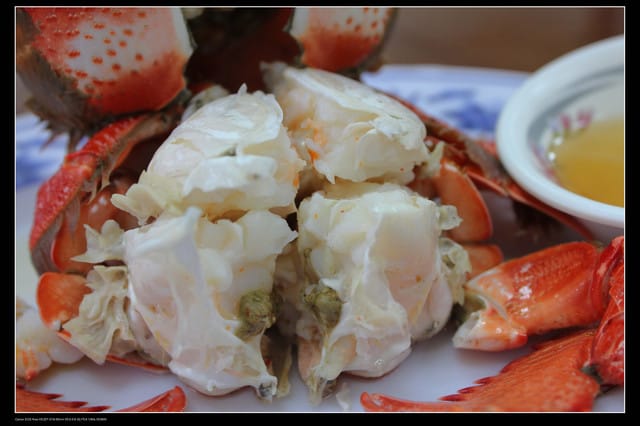 《遊記—澎湖》菊島行DAY-2【清香活海鮮】