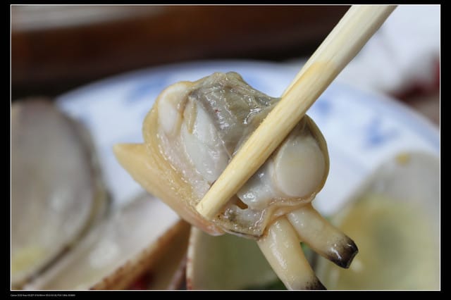 《遊記—澎湖》菊島行DAY-2【清香活海鮮】