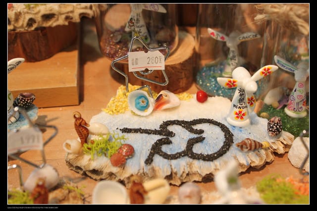 《遊記—澎湖》菊島行DAY-2【菊島之星】