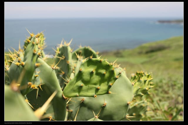 《遊記—澎湖》菊島行DAY-3【南海二島～望安】