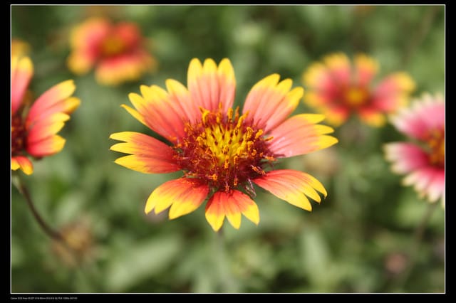 《遊記—澎湖》菊島行DAY-3【南海二島～望安】