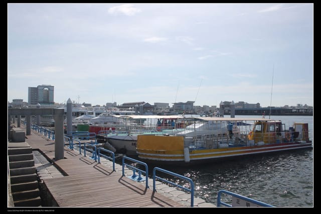 《遊記—澎湖》菊島行DAY-3【南海二島～望安】