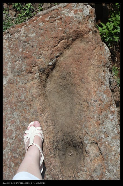 《遊記—澎湖》菊島行DAY-3【南海二島～望安】