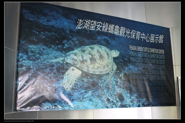 《遊記—澎湖》菊島行DAY-3【南海二島～望安】