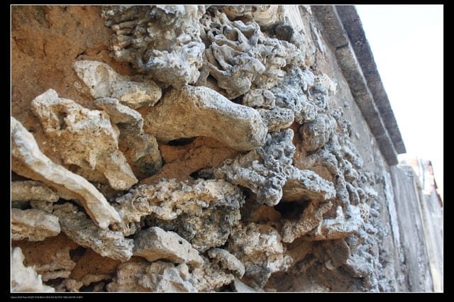 《遊記—澎湖》菊島行DAY-3【南海二島～望安】