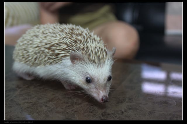 《遊記—澎湖》菊島行DAY-3【馬公市區】