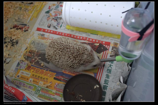 《遊記—澎湖》菊島行DAY-3【馬公市區】