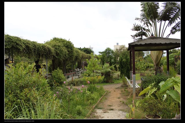 《遊記—觀音》2010桃園蓮花季～蓮荷園、吳厝楊家莊休閒農場