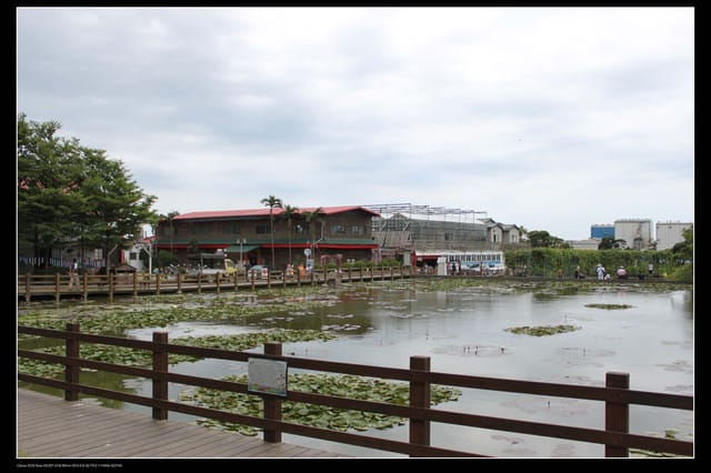 《遊記—觀音》2010桃園蓮花季～蓮荷園、吳厝楊家莊休閒農場
