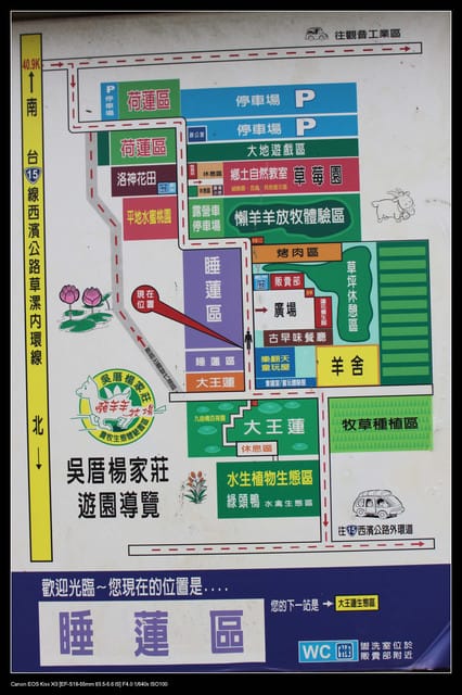 《遊記—觀音》2010桃園蓮花季～蓮荷園、吳厝楊家莊休閒農場