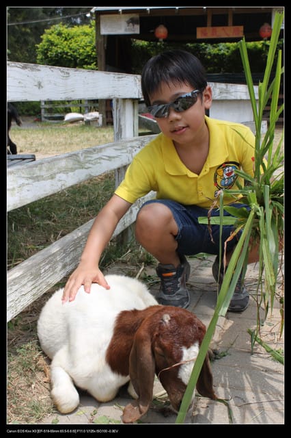 《遊記—觀音》2010桃園蓮花季～蓮荷園、吳厝楊家莊休閒農場