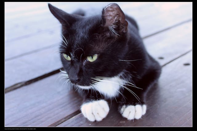 《遊記—基隆瑞芳》侯硐半日遊＆極品鮮熱炒