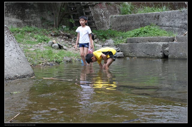 《遊記—基隆瑞芳》侯硐半日遊＆極品鮮熱炒