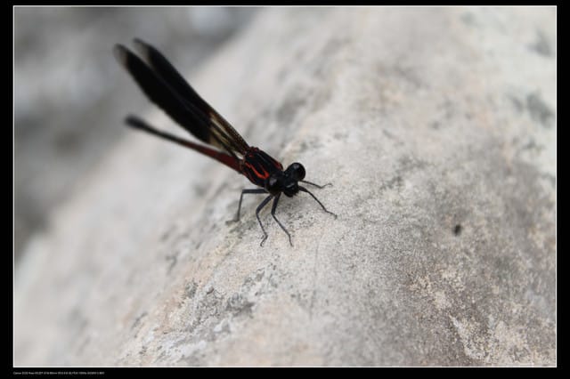 《遊記—基隆瑞芳》侯硐半日遊＆極品鮮熱炒