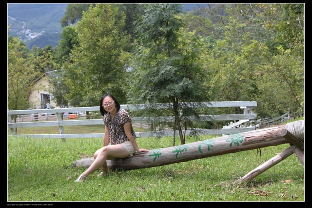 《遊記—桃園》富野綿羊牧場～綠光森林咖啡、餐飲&竹圍漁港