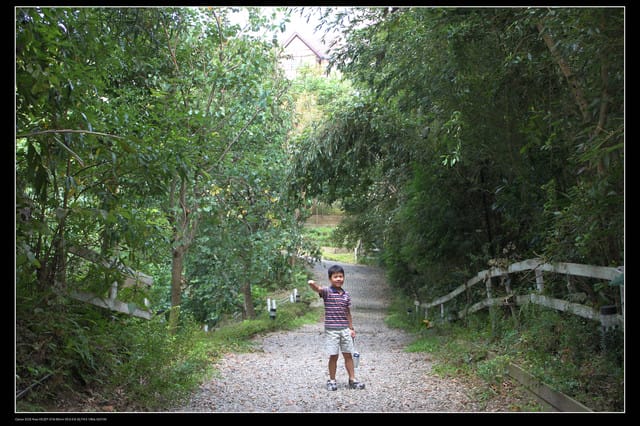 《遊記—桃園》富野綿羊牧場～綠光森林咖啡、餐飲&竹圍漁港