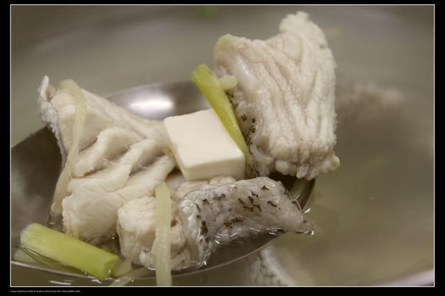 《遊記—桃園》富野綿羊牧場～綠光森林咖啡、餐飲&竹圍漁港