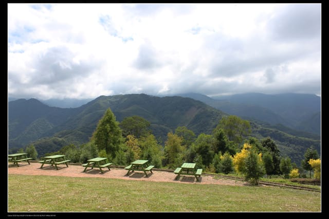 《遊記—桃園》富野綿羊牧場～綠光森林咖啡、餐飲&竹圍漁港