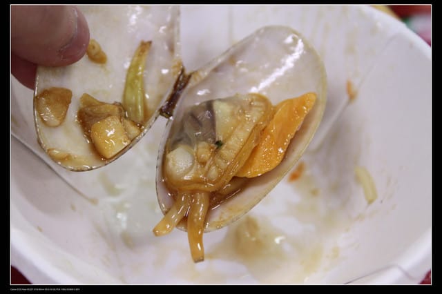 《遊記—桃園》富野綿羊牧場～綠光森林咖啡、餐飲&竹圍漁港